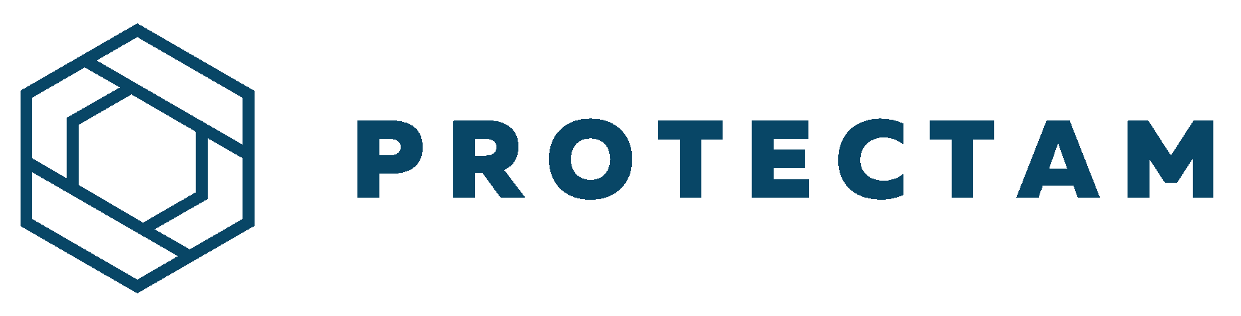 Logo PROTECTAM