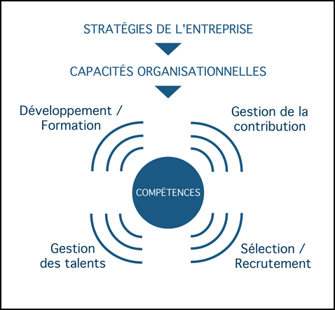 Amelioration continu des competences