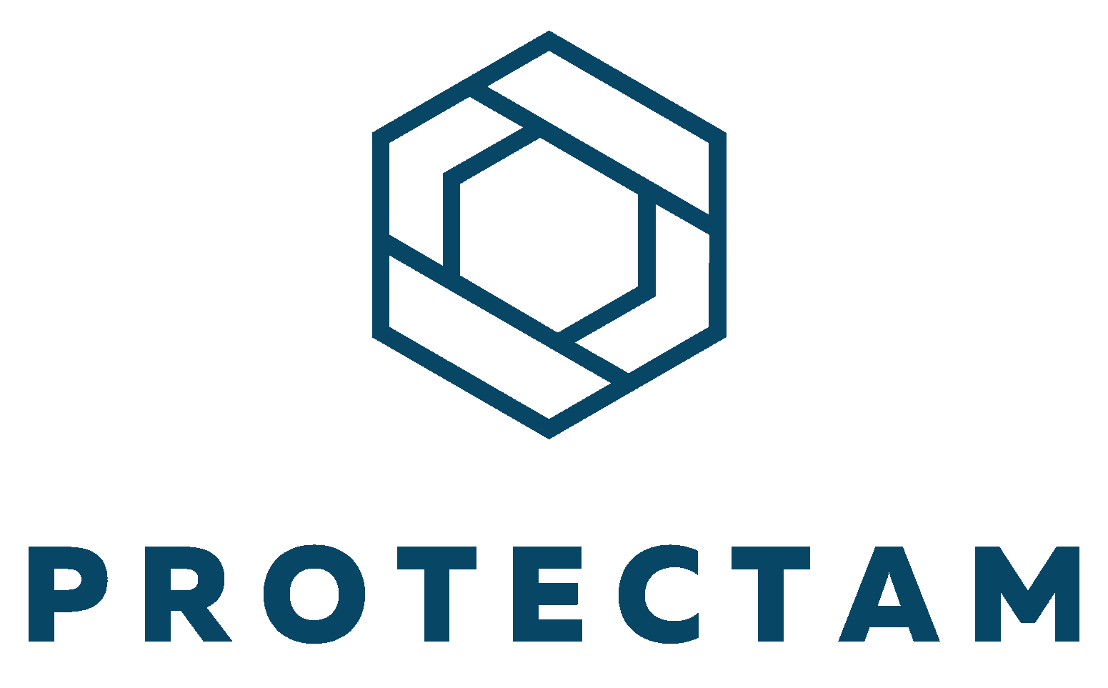 Logo protectam